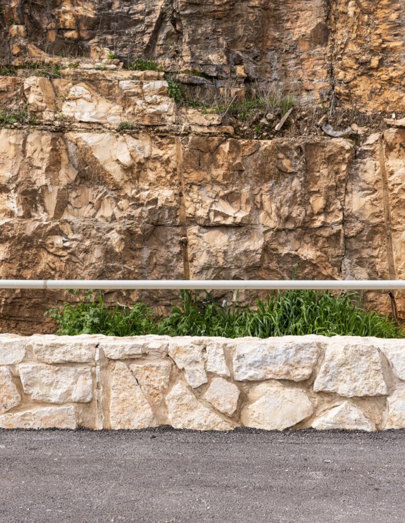 גן הכרם, מג'ד אל כרום